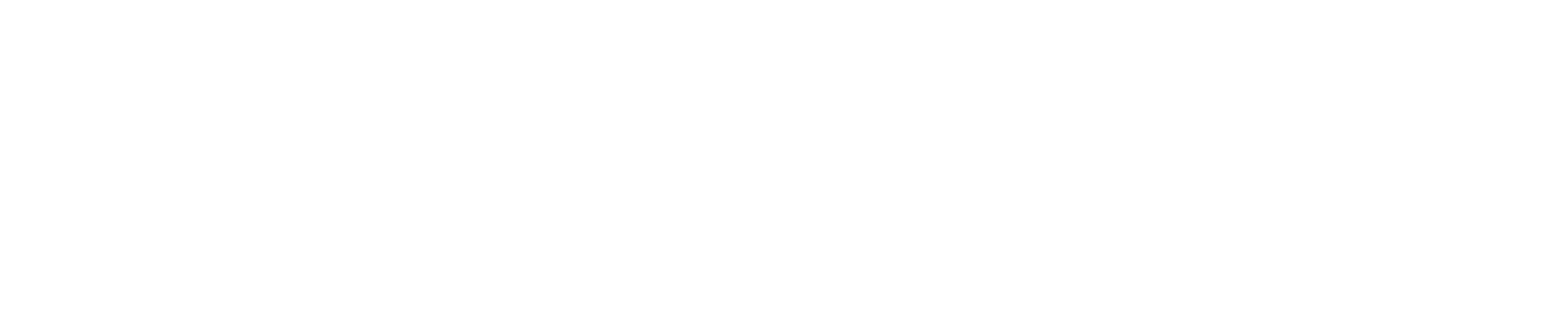 Ballet Tampa